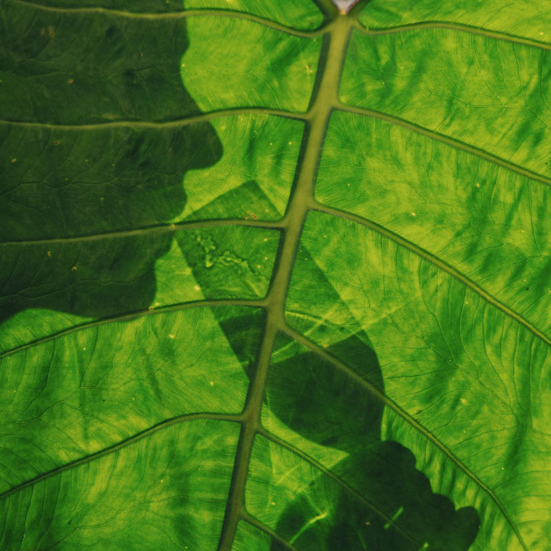 BELMOND HOTEL DAS CATARATAS – BRAZIL