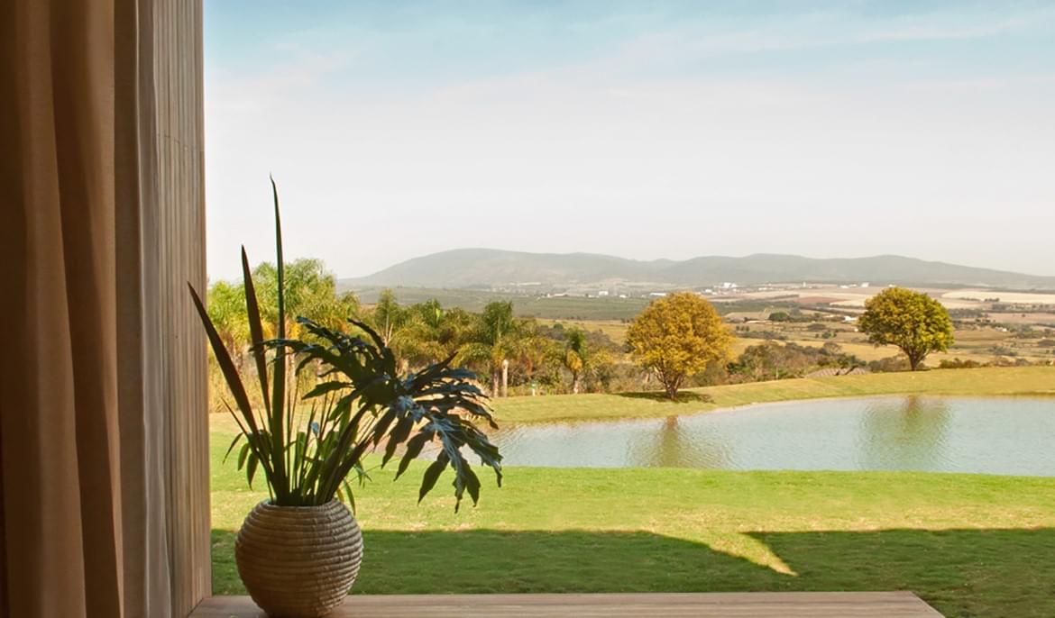 Fasano Boa Vista