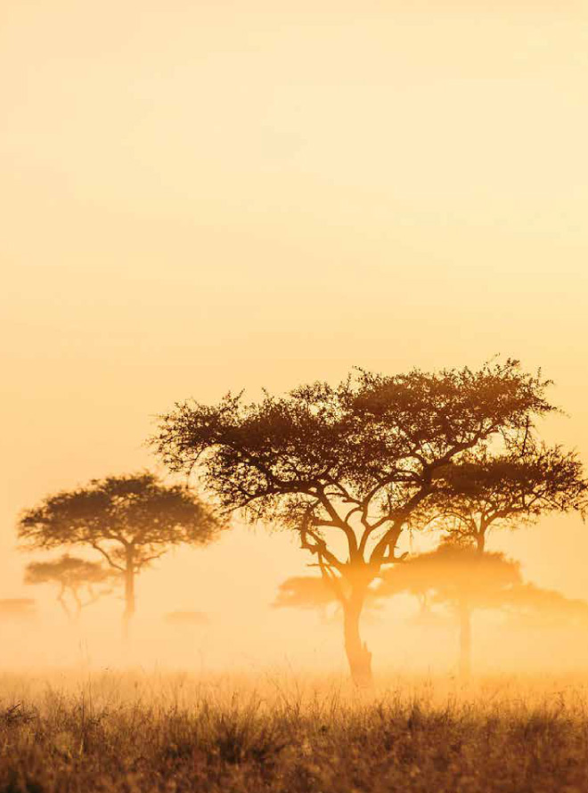 SINGITA LEBOMBO LODGE