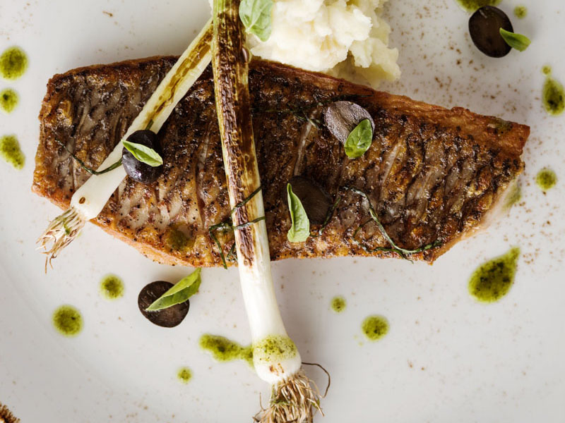 One&Only Nyungwe House