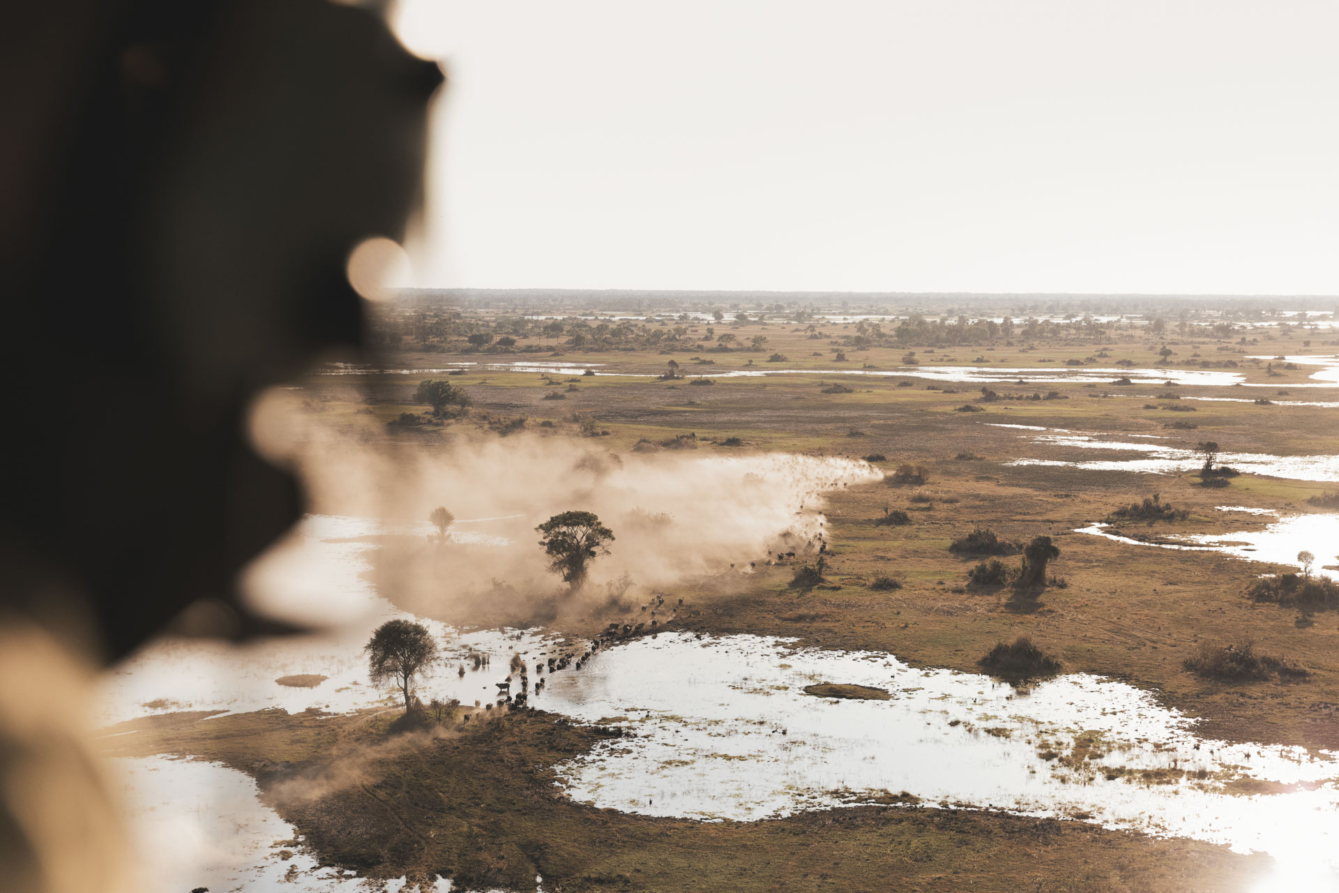 Wilderness Mombo, Botswana