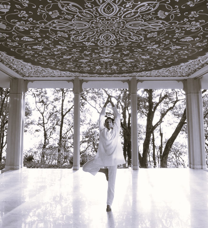 Ananda In The Himalayas