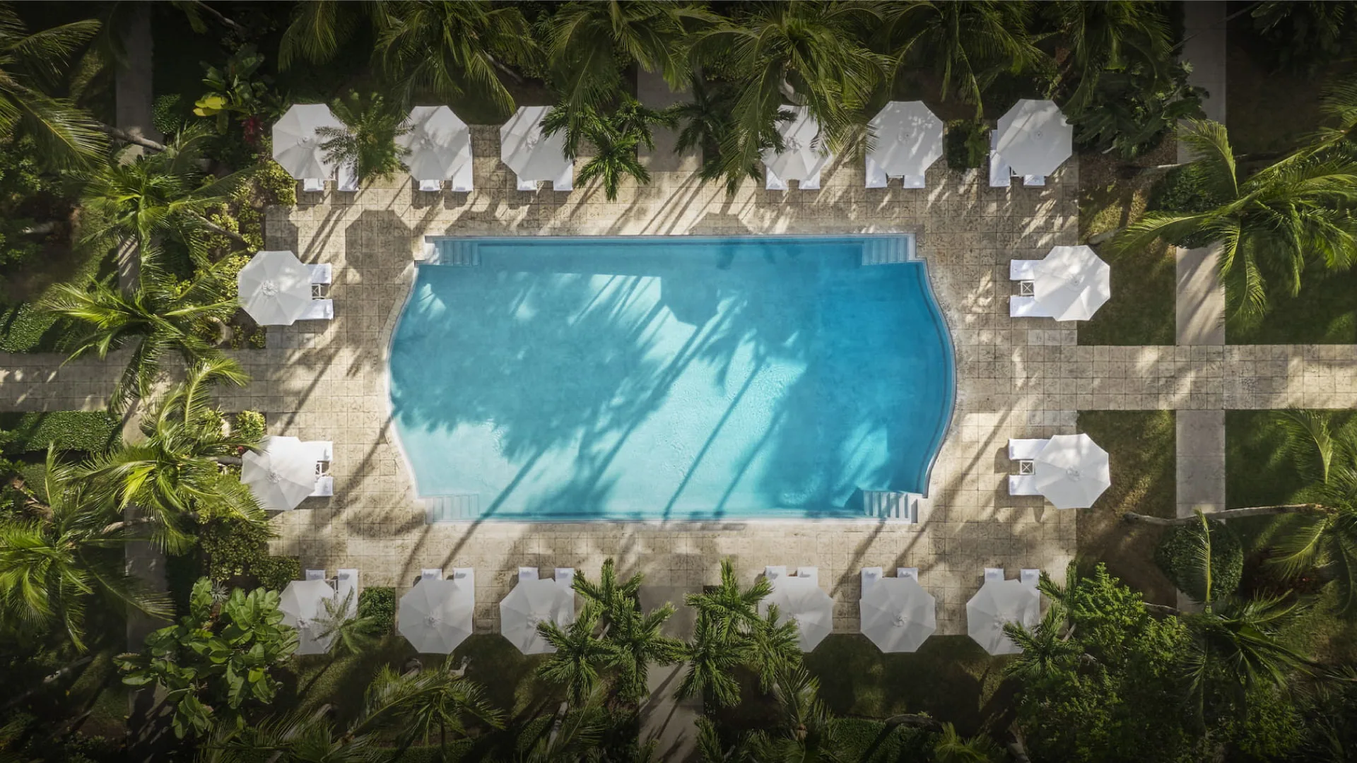 Aerial view of a palm-lined pool at Four Seasons Ocean Club, Bahamas