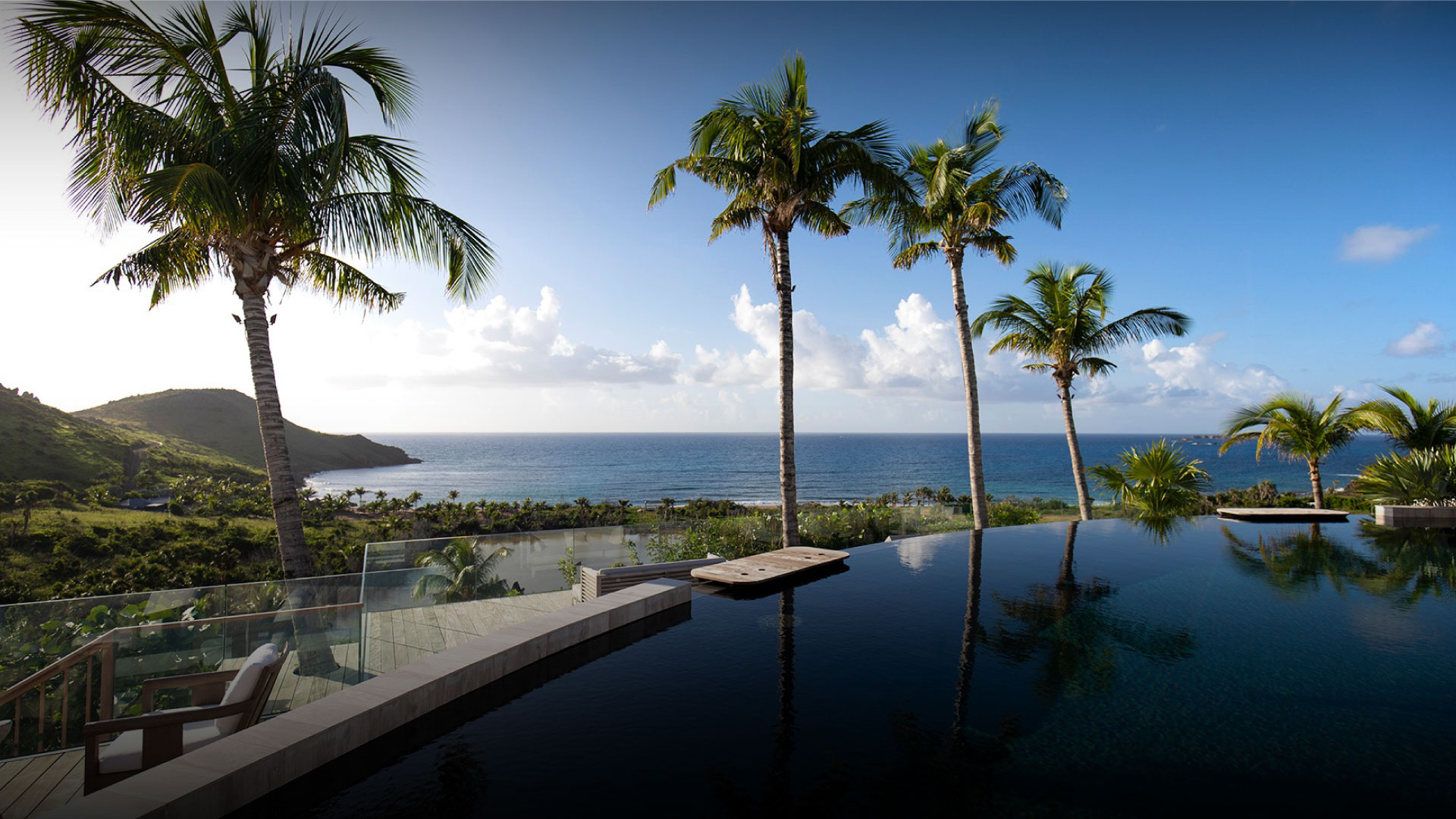 Infinity pool with palm trees and panoramic ocean view at Hotel Le Toiny