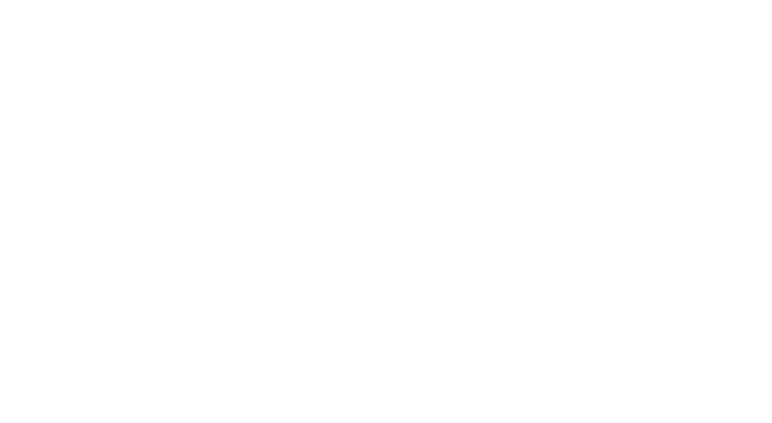 Four Seasons Preferred Partner