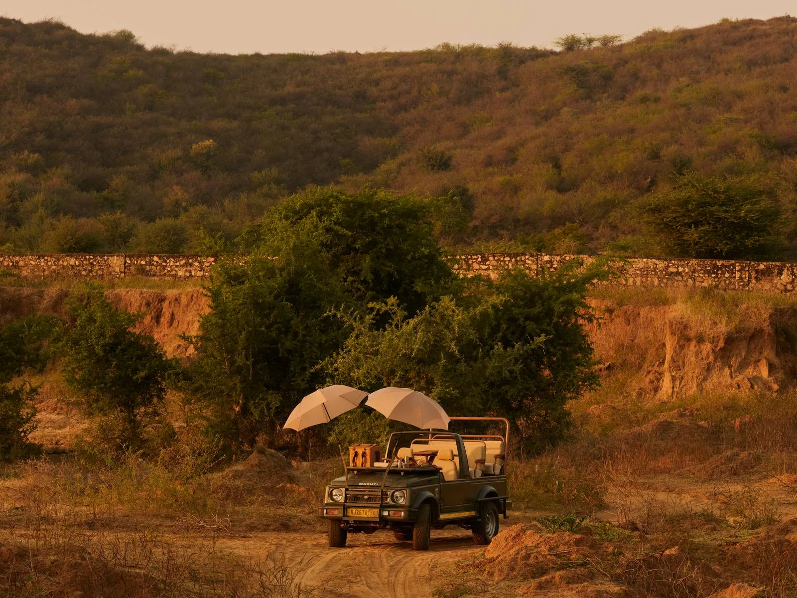 A safari jeep with parasols waits beneath a tree at dusk near Ranthambore National Park
