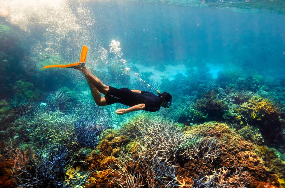 A snorkeller gliding over a coral reef
