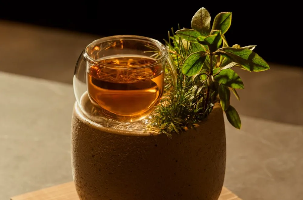 Janu Tokyo 