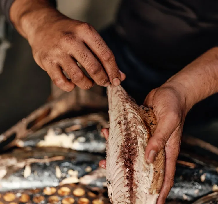 A chef's hands lifting a grilled bonito fillet from the coals, Miyako Island